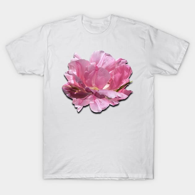 Gorgeous pink peony T-Shirt by CatCoconut-Art